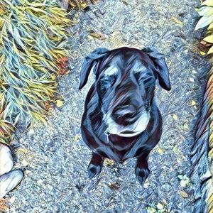 Meet your Posher, Ruth